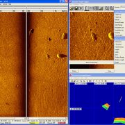 4125 drowning victim scan
